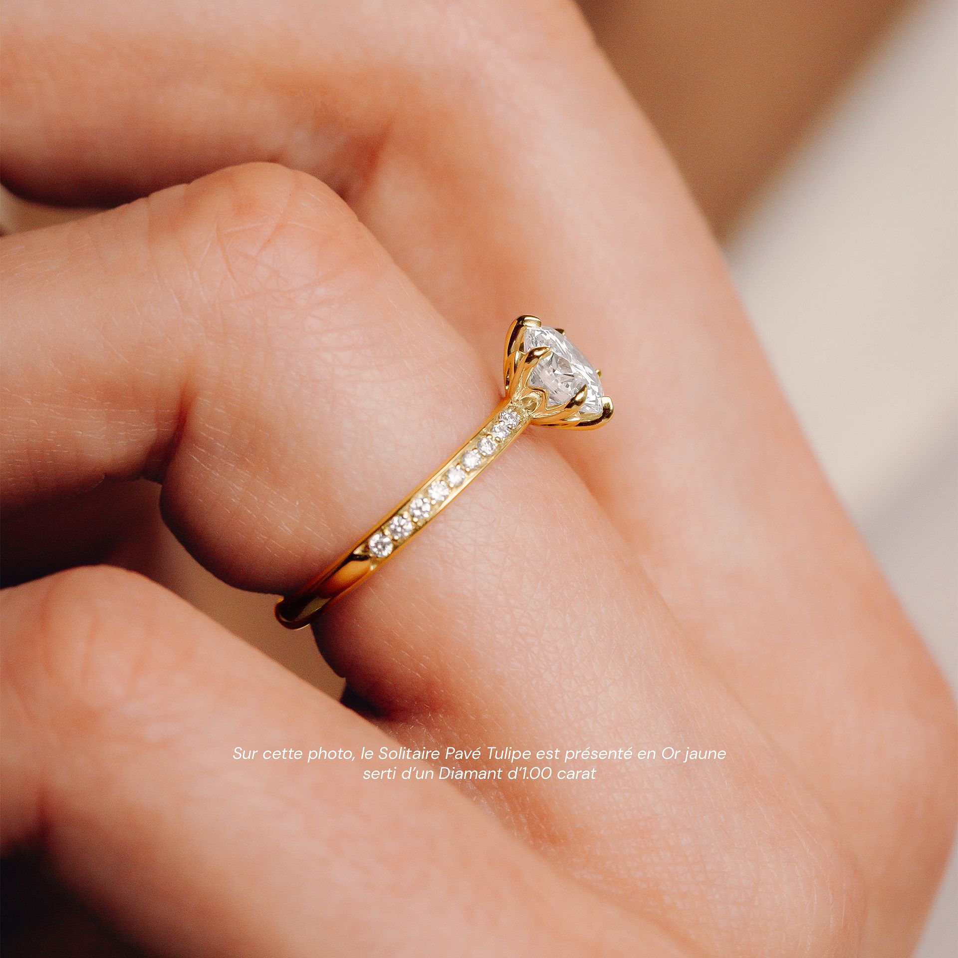 Solitaire Pavé Tulipe Diamant