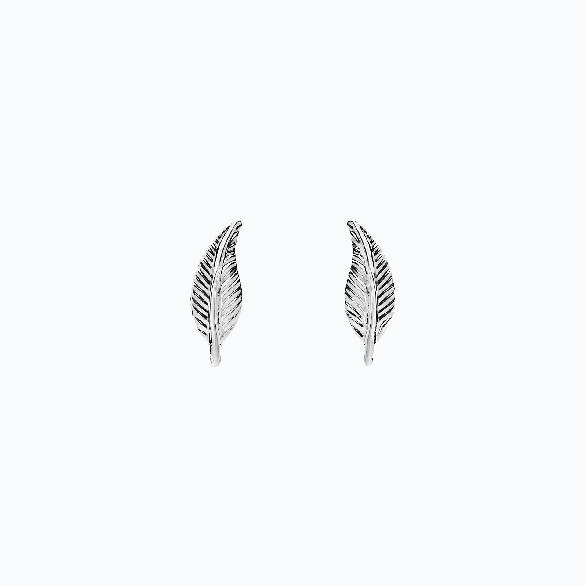 Boucles Petite Plume