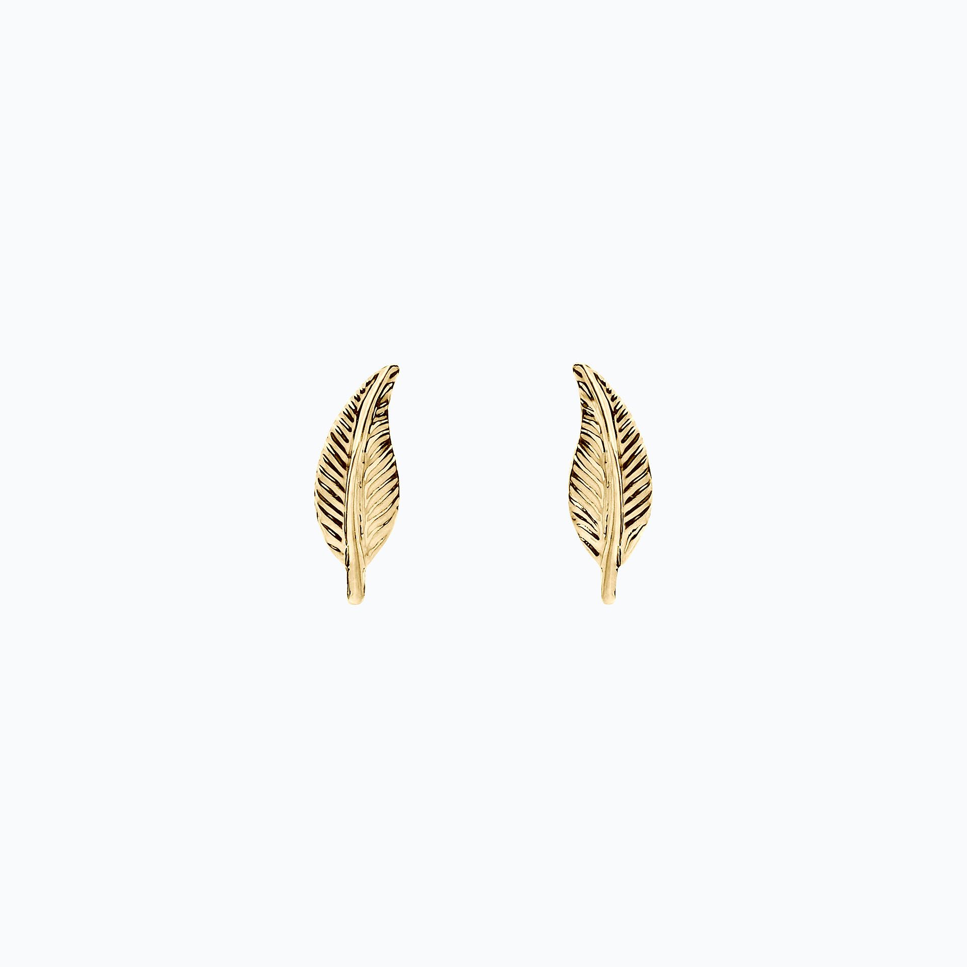 Boucles Petite Plume