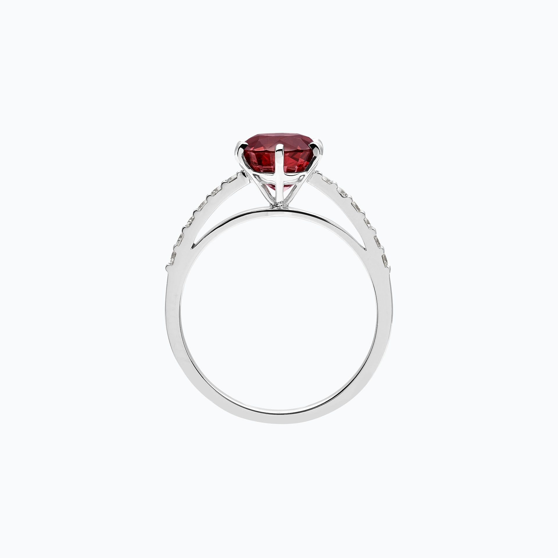 Solitaire Pavé Camille Rubis 6 mm
