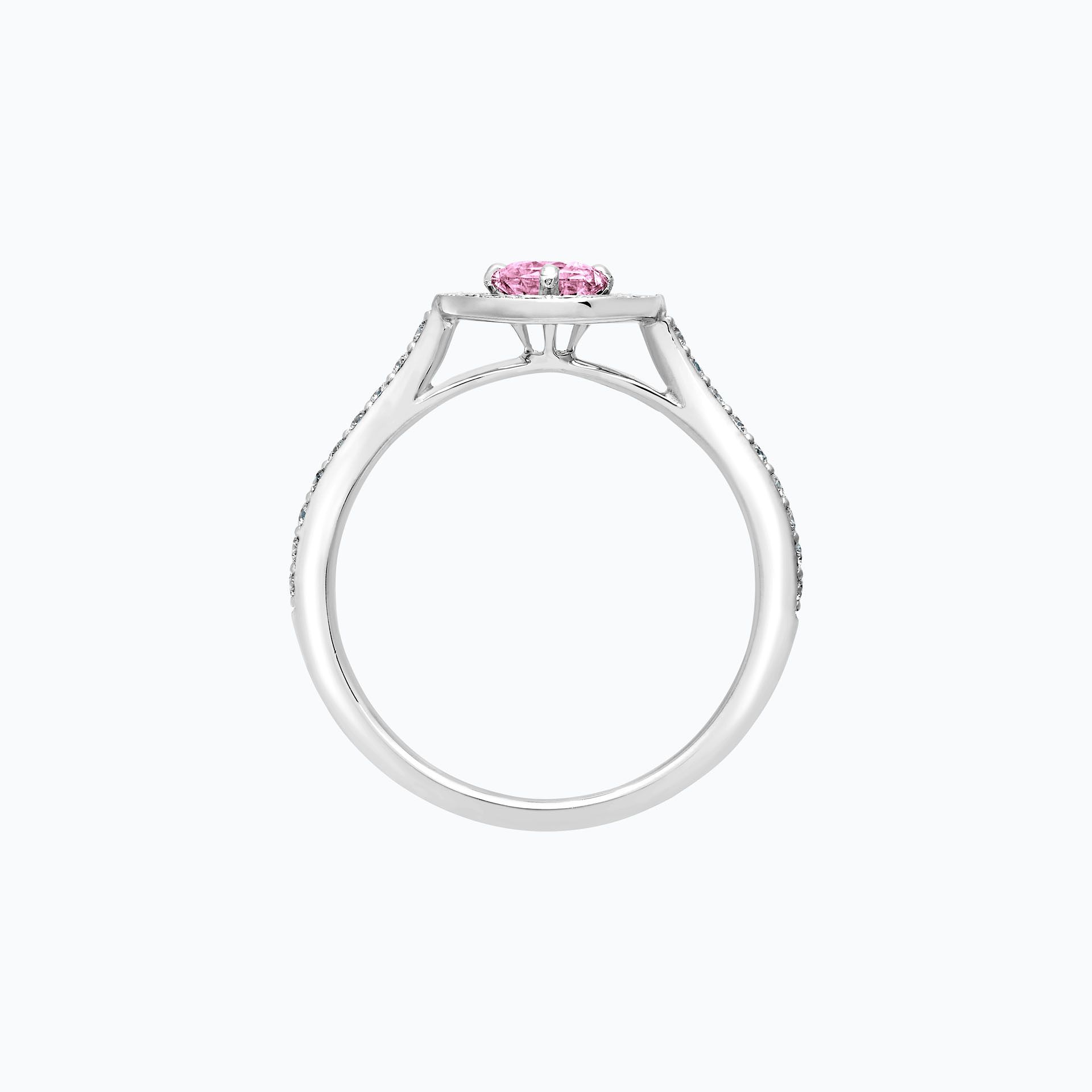 Solitaire Pavé Attraction Saphir Rose Poudré