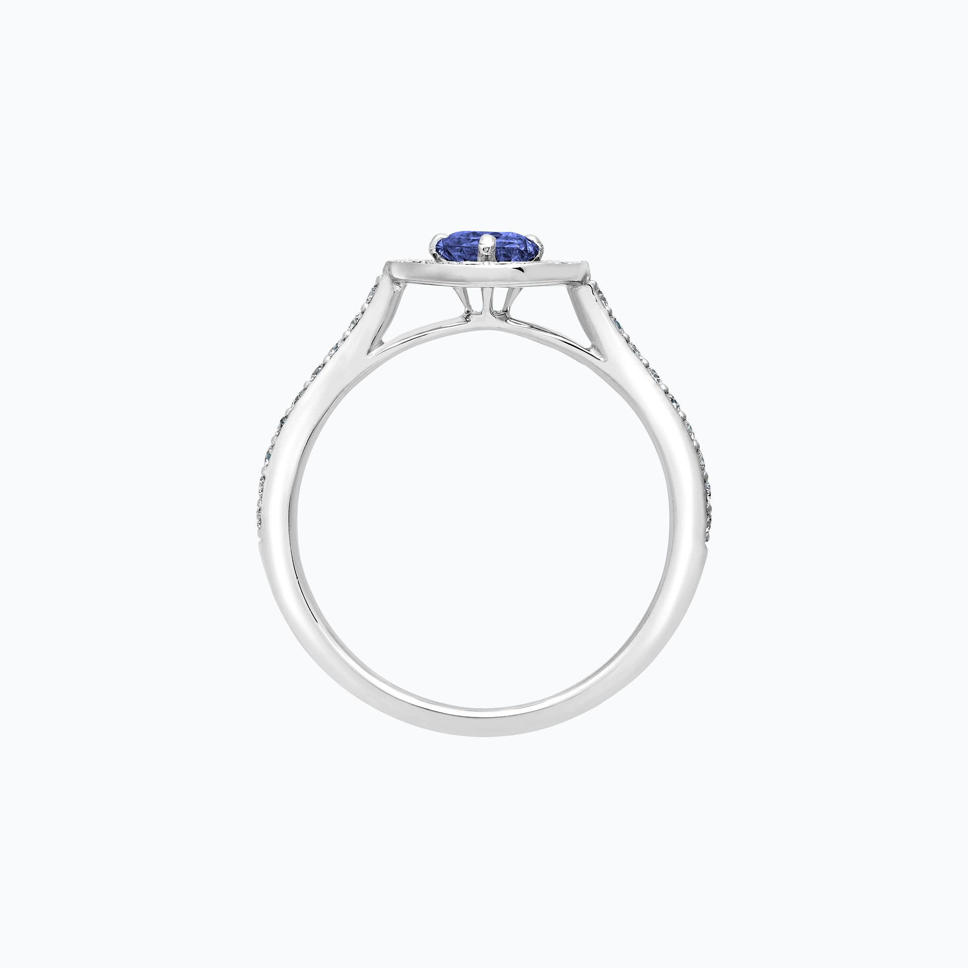 Solitaire Pavé Attraction Tanzanite
