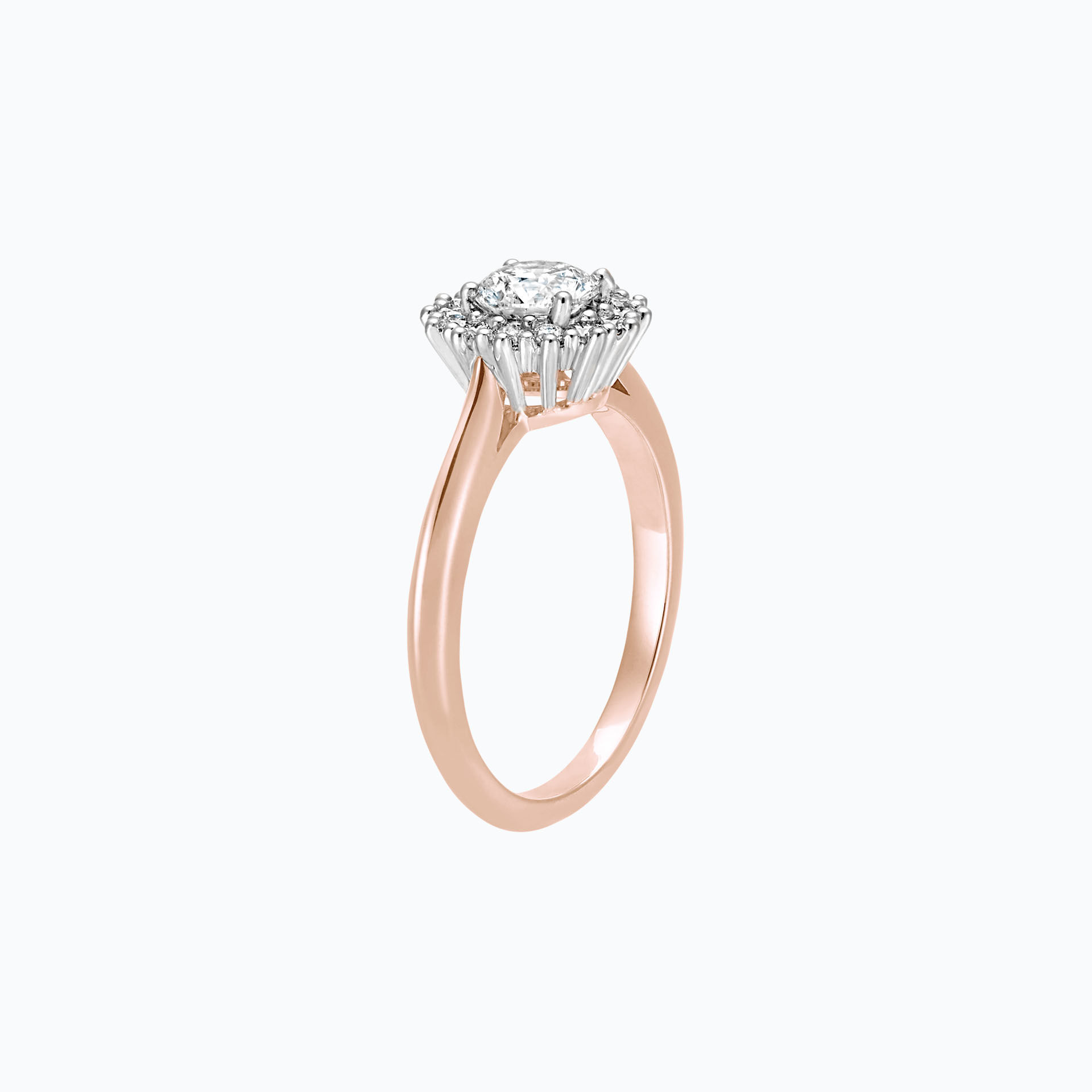 Solitaire Rosaflora