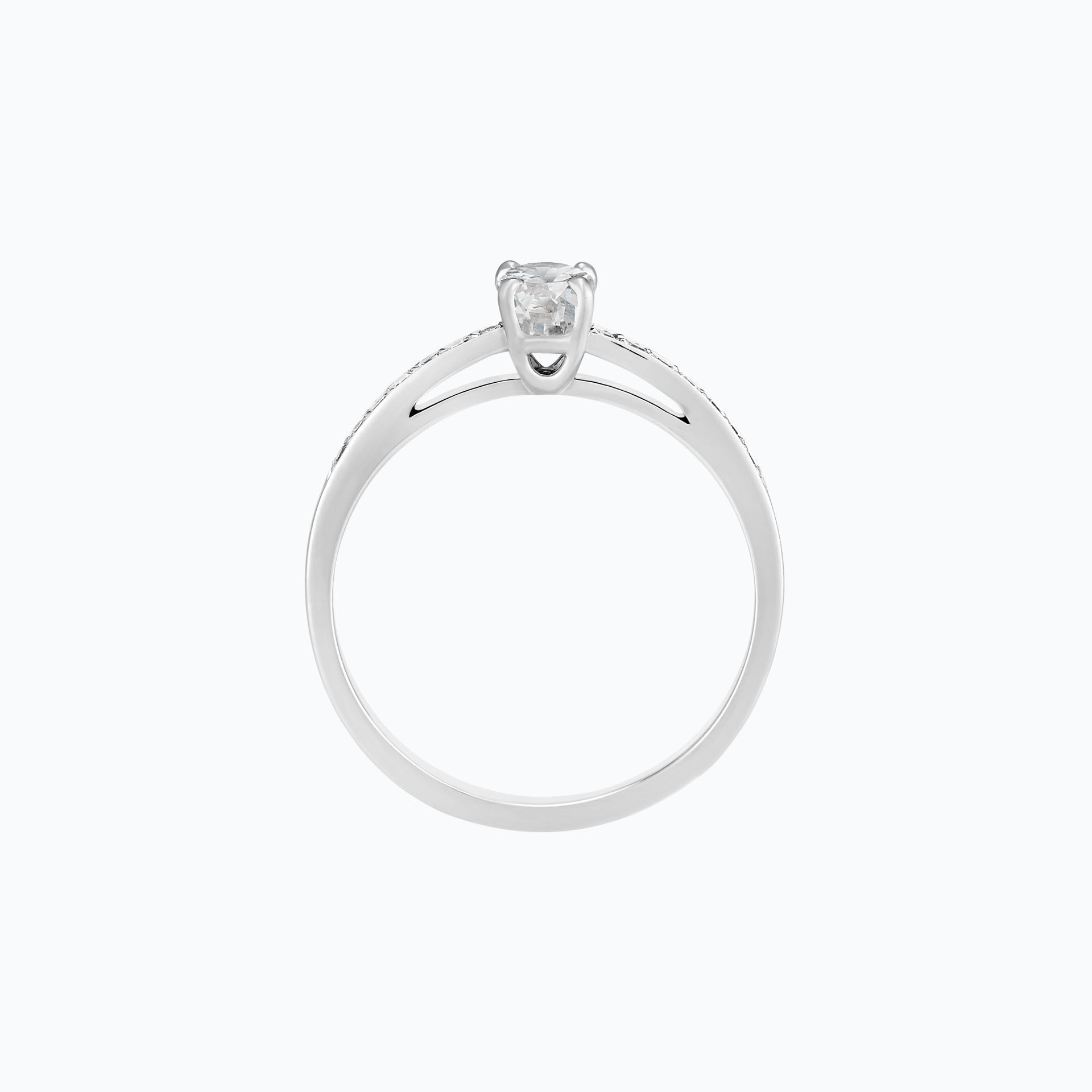 Solitaire Pavé Julia