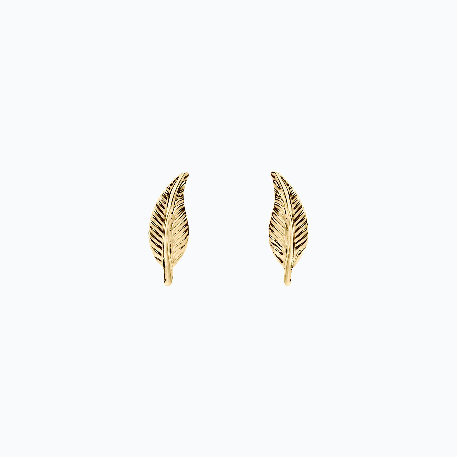 Boucles Petite Plume